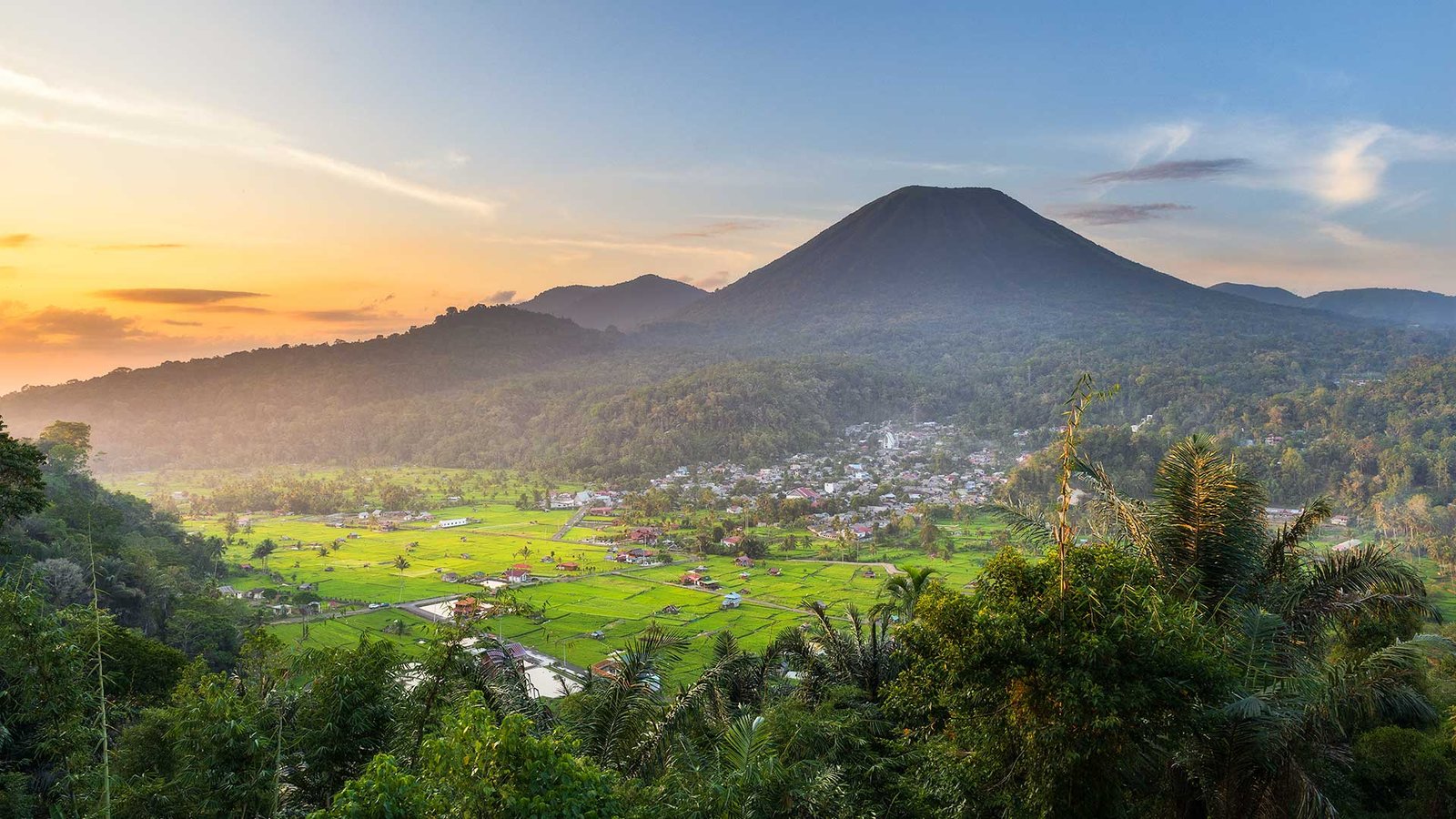 lokon-kayawu